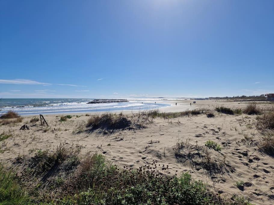 Le Grand Large T2 Climatise A 200 M Plage, Parking
